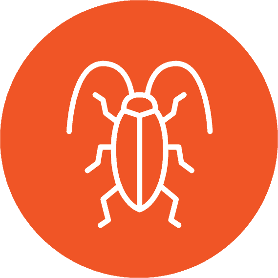 Bedbug Icon