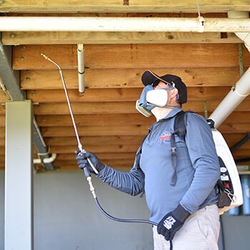 General pest treatment subfloor bowen